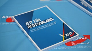 Für ihren Bundestagswahlkampf hat die AfD teils Millionenspenden erhalten