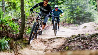 Zwei Mountainbiker im Wald