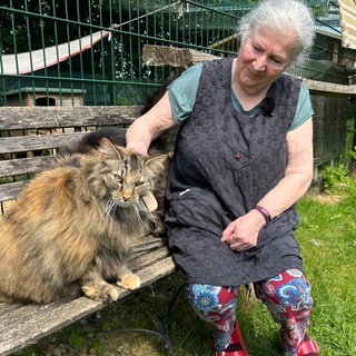 Ein Paradies für Wildkatzen in Hohenfels – mit Platz, Wärme und Ruhe zum Leben.