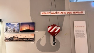 Kräne wachsen in den Himmel