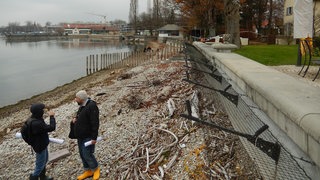 Fotos zeigen das Bodenseeufer Kressbronn jetzt und die Planung, wie es nach der Renaturierung aussehen könnte.