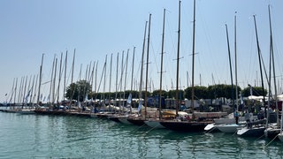 Die Schiffe liegen im Konstanzer Hafen.