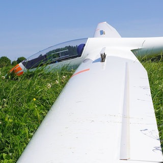 Auf eine Wiese bei Wangen im Allgäu ist das Segelflugzeug am Dienstag gestürzt