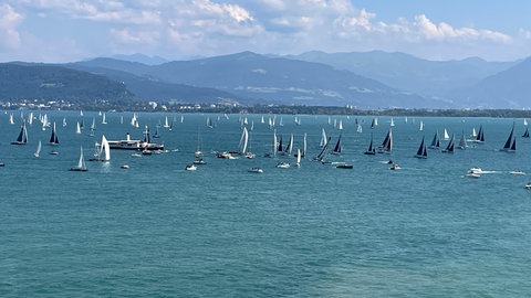 Größte Segelregatta am Bodensee: RUND UM ist vor Lindau gestartet