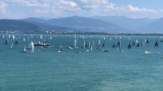 Größte Segelregatta am Bodensee: RUND UM ist vor Lindau gestartet