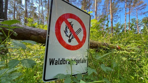 Wegen der Trockenheit herrscht derzeit eine hohe Waldbrandgefahr auch am Bodensee und in Oberschwaben.
