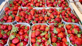 Erdbeeren werden in Schalen zum Verkauf angeboten.
