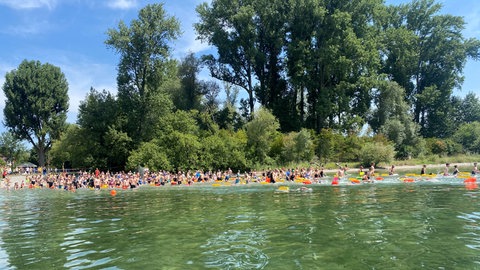 242 Schwimmerinnen und Schwimmer stürtzen sich beim 42. Gnadensee-Schwimmen in Allensbach in die Fluten. 