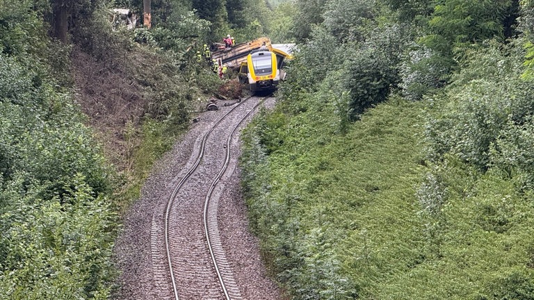 Wie viele Verletzte es bei der Entgleisungen eines Zuges bei Riedlingen im Kreis Biberach gegeben hat, ist am Sonntagabend unklar.