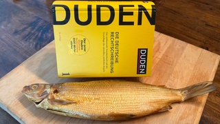 Heißt es "der" oder "das" Felchen? Der Duden hat erst kürzlich online seine Regeln geändert und erlaubt beide Varianten.