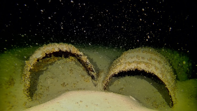 Dank des einzigartigen Projekts „Wracks und Tiefsee“ des Landesamts für Denkmalpflege Baden-Württemberg sind zahlreiche bisher unbekannte Wracks aufgespürt worden.
