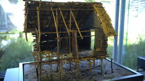 Rekonstruktion eines Hauses im Federseemuseum Bad Buchau
