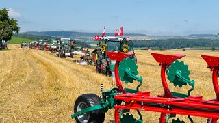 Landesentscheid Leistungspflügen in Schlatt am Randen.