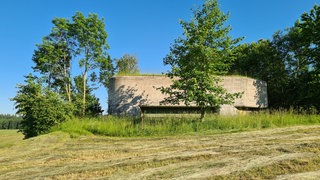 Der ehemalige Infanteriebunker "A 5656 Allee"  gehört zu den erhaltenen Bunkern des Festungsgürtels Kreuzlingen in der Schweiz.