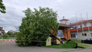 Durch den Starkregen in der Bodenseeregion stürzten zahlreiche Bäume um, auch vor dem Feuerwehrhaus in Nonnenhorn.