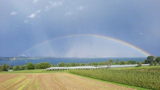 Ein Regenbogen über dem Überlinger See: Die Wetterwarte Süd hat für den Sommer 2025 am Bodensee und in Oberschwaben eine gemischte Wetterbilanz gezogen.