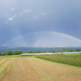 Ein Regenbogen über dem Überlinger See: Die Wetterwarte Süd hat für den Sommer 2025 am Bodensee und in Oberschwaben eine gemischte Wetterbilanz gezogen.