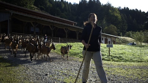 Landwirtin Magdalena Zintl läuft auf der Adelegg vor einer Gruppe Ziegen. 