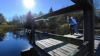 Das Naturschutzzentrum Wurzacher Ried feiert am Wochenende sein 40-jähriges Bestehen (Symbolbild).
