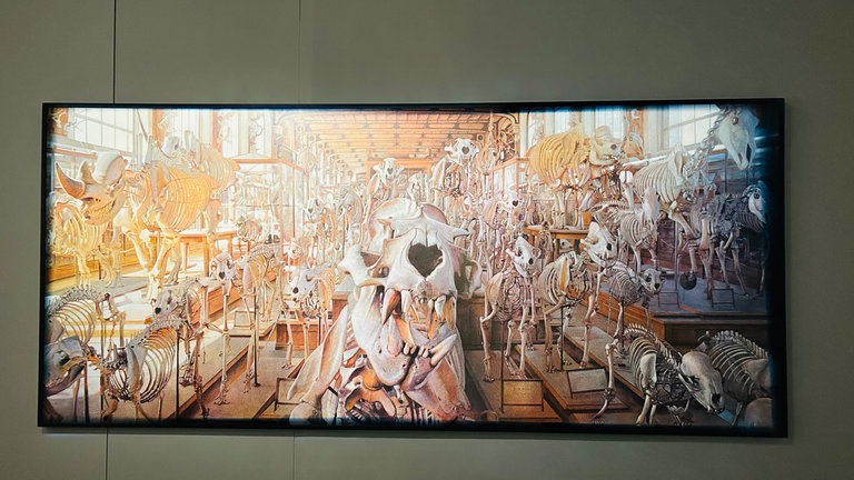 Im Schloss Isny sind Werke von Hechelmann und Holländer ausgestellt