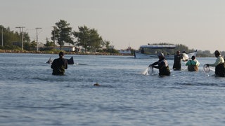 Brasilianische Fischer werfen ihre Netze aus, während ein Delfin neben ihnen im Wasser abtaucht. Konstanzer Forscher haben nun entdeckt, dass die Herzen der Fischer dabei im gleichen Takt schlagen.