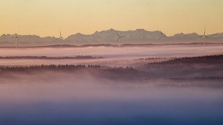 Landschaft Oberschwabens im Nebel: Das Biosphärengebiet Allgäu-Oberschwaben steht wohl vor dem Aus