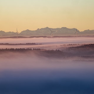 Landschaft Oberschwabens im Nebel: Das Biosphärengebiet Allgäu-Oberschwaben steht wohl vor dem Aus