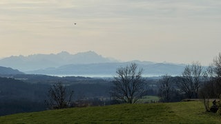 Traumhafter Blick von der Siggener Höhe auf den Bodensee und die Alpen.