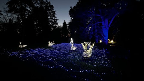Eine Wiese auf der Insel Mainau leuchtet blau von Lichterketten.