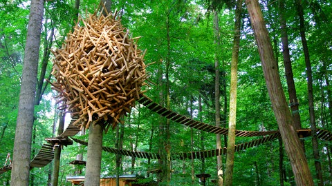Ein Astbaumhaus im Kletterpark des Erlebniswaldes Mainau. 