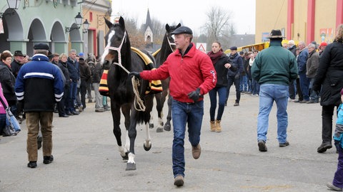 Der Pferde- und Krämermarkt in Bad Schussenried. Parallel dazu findet in der Innenstadt ein Weihnachtsmarkt statt.  