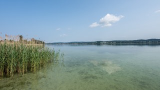 Blauer Himmel ist über dem Bodensee zu sehen. In Radolfzell beginnen am Samstag die 49. Naturschutztage.