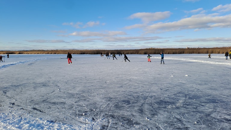Der Federsee bei Bad Buchau im Kreis Biberach ist komplett zugefroren. Am Wochenende war er deshalb bei Spaziergängern und Schlittschuhläufern ein beliebtes Ausflugsziel.