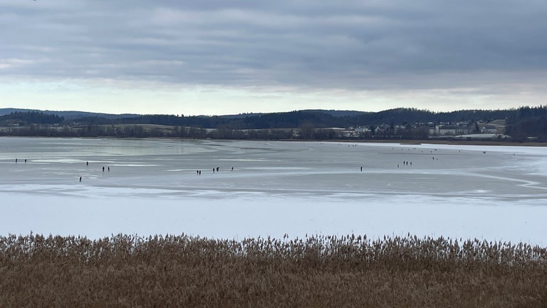 Der Gnadensee zwischen Allensbach und der Reichenau ist großteils zugefroren. Es ist ein besonders flacher Teil des Bodensees.