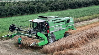 Getreideernte am Bodensee.