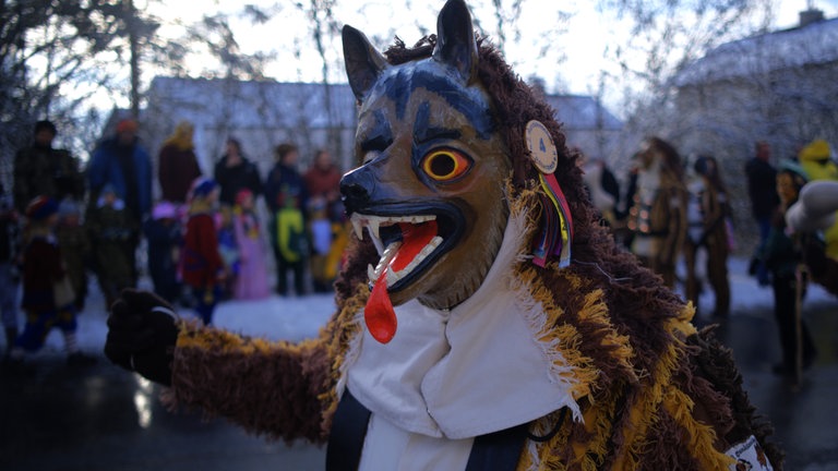 Narrensprung in Bodnegg im Kreis Ravensburg