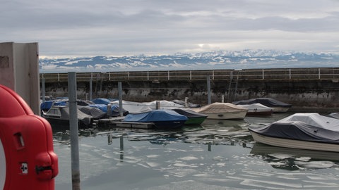 Der See in Friedrichshafen an einem grauen Wintertag