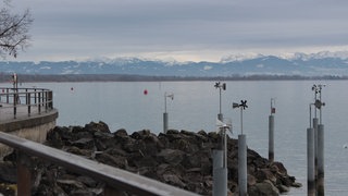 Der See in Friedrichshafen an einem grauen Wintertag
