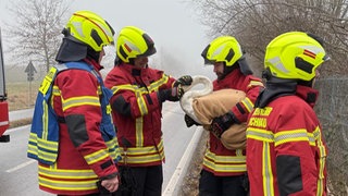 Feuerwehrmänner retten den verletzten Schwan nahe der Bahnstrecke zwischen Reichenau und Hegne.