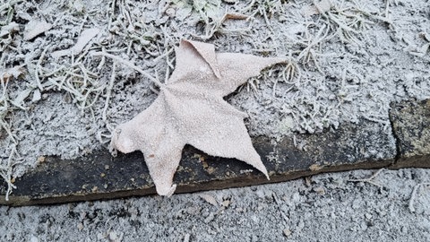 Industrieschnee bildete sich am Bodensee und in Oberschwaben. Eine dünne, weiße Schicht legte sich auch auf Friedrichshafen nieder.