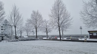 Am Bodenseeufer in Friedrichshafen liegt sogenannter Sindustrieschnee. Er entsteht, wenn Rußpartikel in der Luft Feuchtigkeit annehmen. In der Kälte fällt das dann wie Kunstschnee zu Boden. 