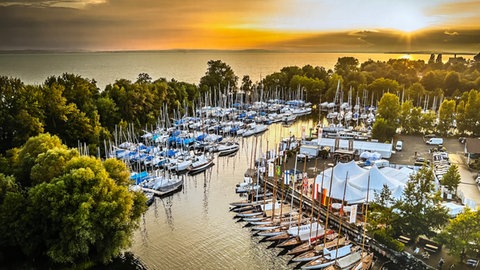 Der BMK-Yachthafen Langenargen: Hier wird künftig eine Kurtaxe für ortsfremde Inhaber von Bootsliegeplätzen fällig.