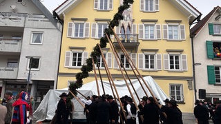 Vor dem Rathaus von Bad Waldsee wird ein Narrenbaum aufgestellt. Die Narren sind am Gumpigen seit dem Morgen unterwegs.