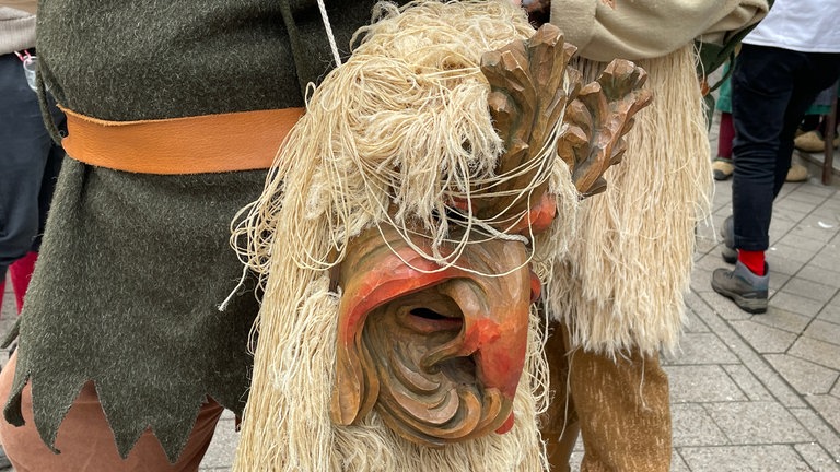 Der Große Narrensprung in Friedrichshafen 2026. Fastnacht am Bodensee auch bei Regen.