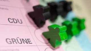 Schwarze und grüne Spielfiguren auf einem Wahlzettel: Bei der Landtagswahl treten im Wahlkreis Ravensburg zwei Schwägerinnen gegeneinander an.