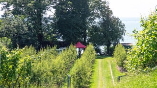 Ein Ufergrundstück am Bodensee. Hier wurde 2024 die Leiche einer getöteten Frau gefunden. Jetzt sind zwei Tatverdächtige festgenommen worden.