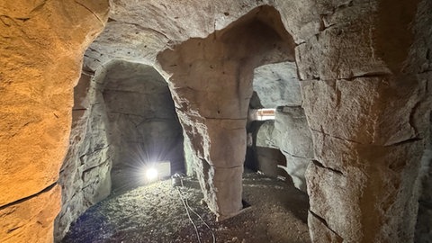 Eine künstliche Felsengrotte im Eingangsbereich des Affenfreigeheges am Affenberg in Salem. Zum Start der Jubiläumssaison am Samstag konnte sie rechtzeitig fertiggestellt werden.