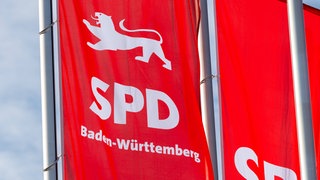 Fahnen der SPD Baden-Württemberg. Nach der Wahlschlappe ringt die Partei um ihre Zukunft. Politiker in der Region Bodensee-Oberschwaben fragen sich auch, was sich ändern muss. 