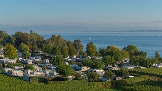 Viele Wahnwagen und Wohnmobile vor dem Bodensee. Der Campingplatz in Hagnau.