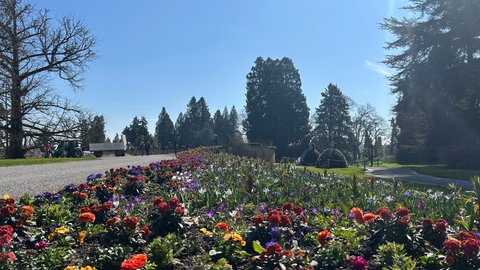 Die Insel Mainau startet in die neue Saison.